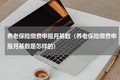 养老保险缴费申报月基数（养老保险缴费申报月基数是怎样的）