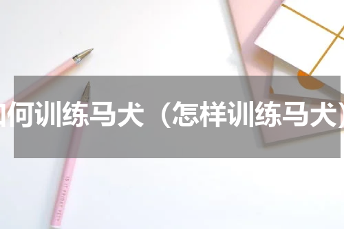 如何训练马犬（怎样训练马犬）