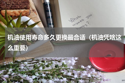 机油使用寿命多久更换最合适（机油凭啥这么重要）