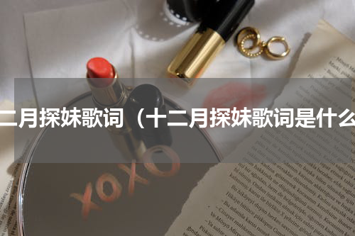 十二月探妹歌词（十二月探妹歌词是什么）