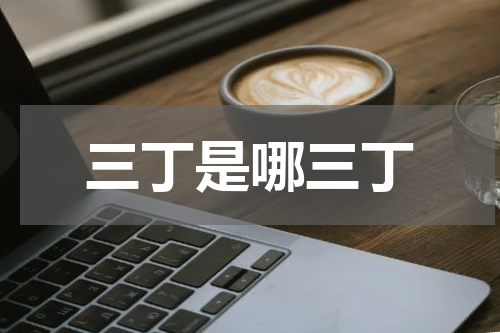 三丁是哪三丁