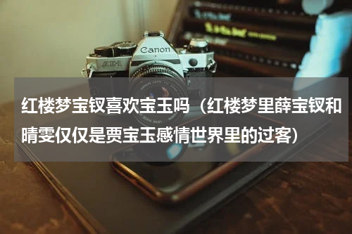 红楼梦宝钗喜欢宝玉吗（红楼梦里薛宝钗和晴雯仅仅是贾宝玉感情世界里的过客）