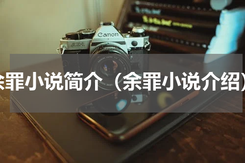 余罪小说简介（余罪小说介绍）