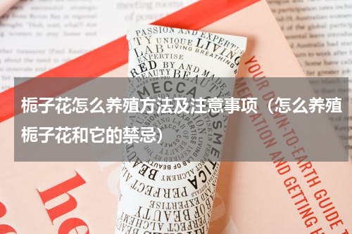 栀子花怎么养殖方法及注意事项（怎么养殖栀子花和它的禁忌）