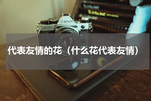 代表友情的花（什么花代表友情）