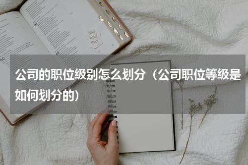 公司的职位级别怎么划分（公司职位等级是如何划分的）