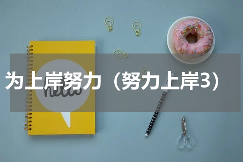 为上岸努力（努力上岸3）