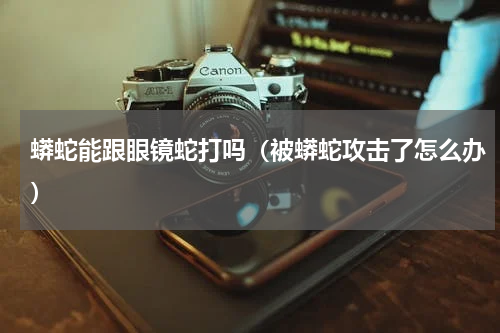 蟒蛇能跟眼镜蛇打吗（被蟒蛇攻击了怎么办）