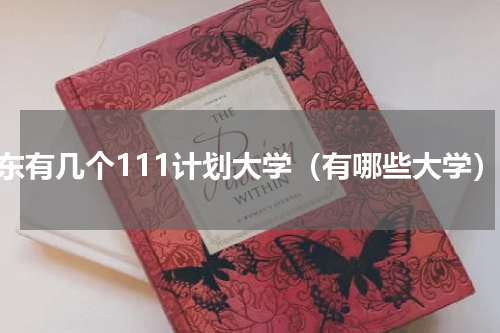 山东有几个111计划大学（有哪些大学）