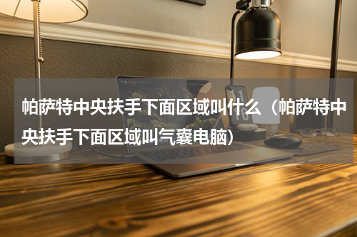 帕萨特中央扶手下面区域叫什么（帕萨特中央扶手下面区域叫气囊电脑）