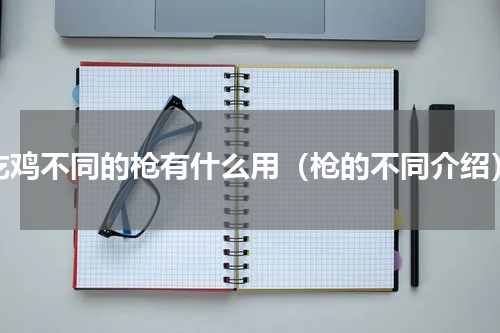 吃鸡不同的枪有什么用（枪的不同介绍）