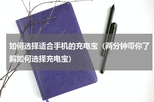 如何选择适合手机的充电宝（两分钟带你了解如何选择充电宝）