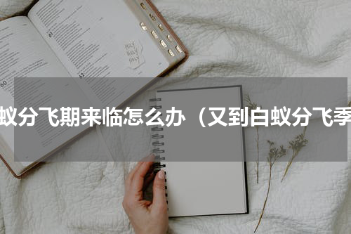 白蚁分飞期来临怎么办（又到白蚁分飞季）