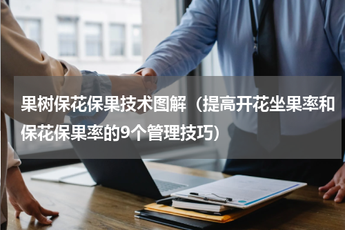 果树保花保果技术图解（提高开花坐果率和保花保果率的9个管理技巧）
