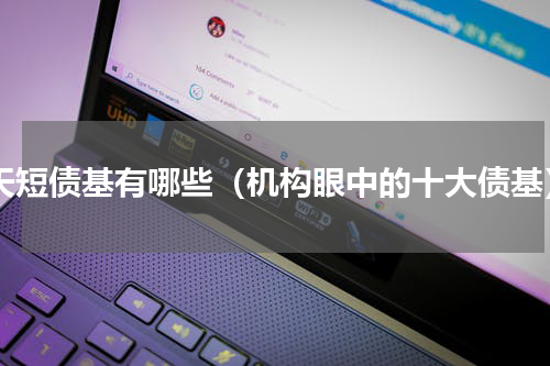 7天短债基有哪些（机构眼中的十大债基）