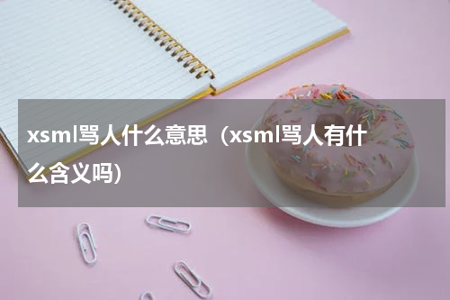 xsml骂人什么意思（xsml骂人有什么含义吗）