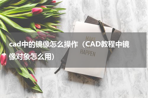 cad中的镜像怎么操作（CAD教程中镜像对象怎么用）