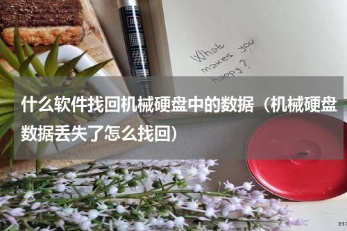 什么软件找回机械硬盘中的数据（机械硬盘数据丢失了怎么找回）