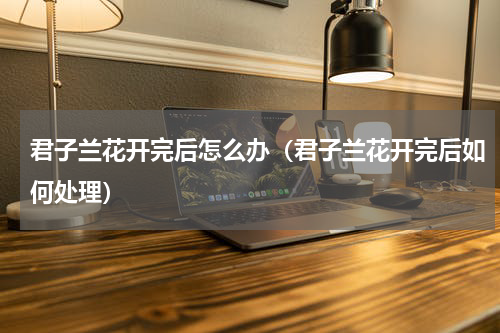 君子兰花开完后怎么办（君子兰花开完后如何处理）