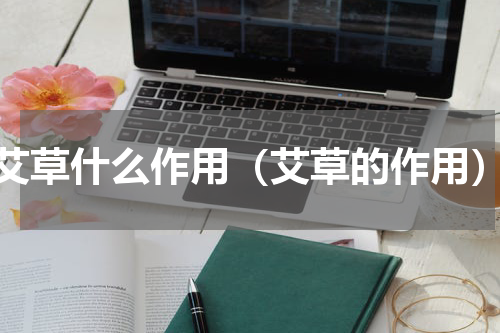 艾草什么作用（艾草的作用）