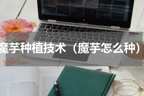 魔芋种植技术（魔芋怎么种）