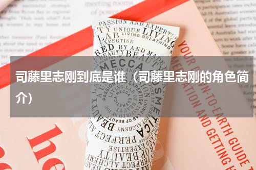司藤里志刚到底是谁（司藤里志刚的角色简介）