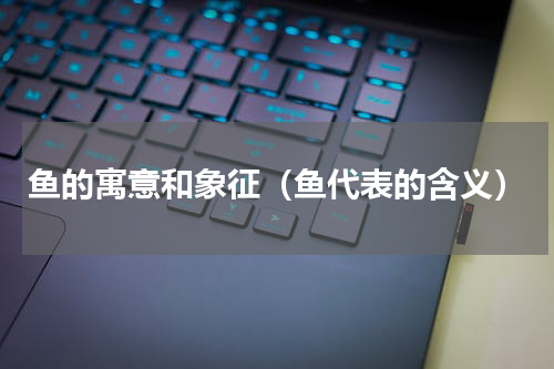 鱼的寓意和象征（鱼代表的含义）