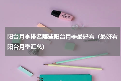 阳台月季排名哪些阳台月季最好看（最好看阳台月季汇总）