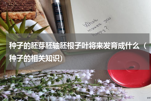 种子的胚芽胚轴胚根子叶将来发育成什么（种子的相关知识）