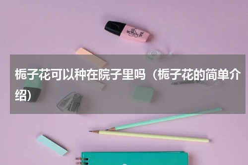 栀子花可以种在院子里吗（栀子花的简单介绍）