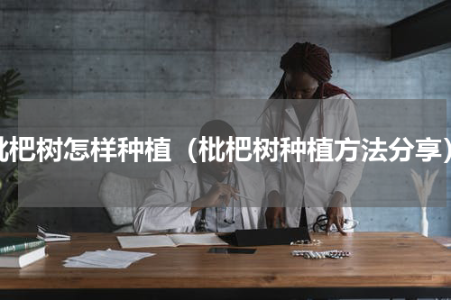 枇杷树怎样种植（枇杷树种植方法分享）