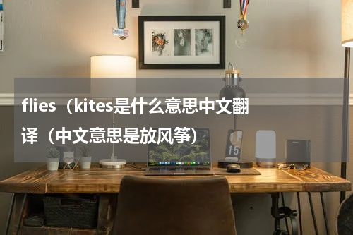 flies（kites是什么意思中文翻译（中文意思是放风筝）