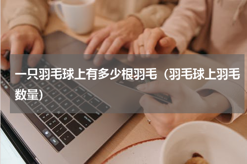 一只羽毛球上有多少根羽毛（羽毛球上羽毛数量）