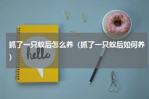 抓了一只蚁后怎么养（抓了一只蚁后如何养）