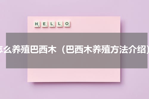 怎么养殖巴西木（巴西木养殖方法介绍）