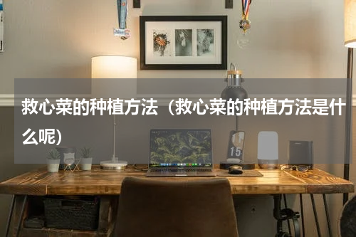 救心菜的种植方法（救心菜的种植方法是什么呢）