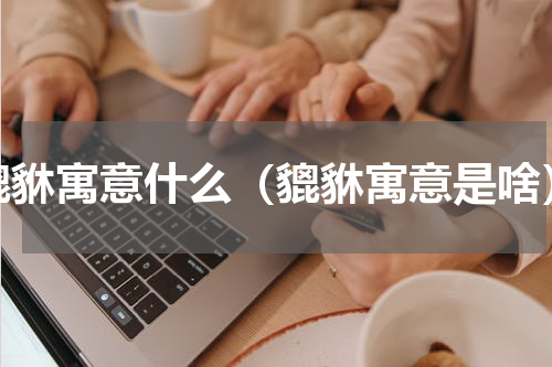 貔貅寓意什么（貔貅寓意是啥）