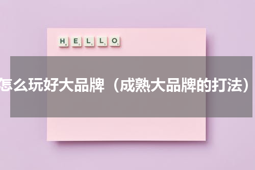怎么玩好大品牌（成熟大品牌的打法）