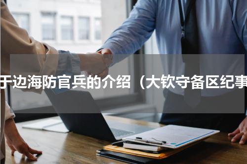 关于边海防官兵的介绍（大钦守备区纪事）