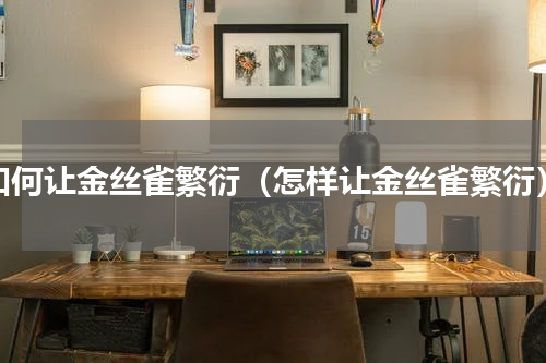 如何让金丝雀繁衍（怎样让金丝雀繁衍）