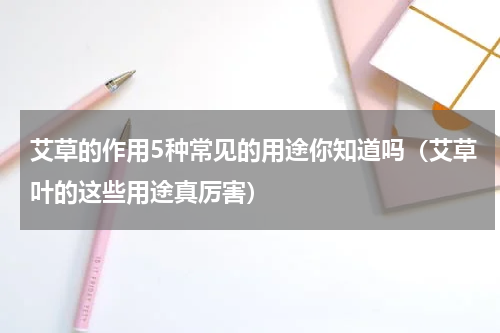艾草的作用5种常见的用途你知道吗（艾草叶的这些用途真厉害）