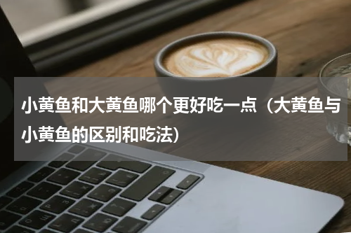 小黄鱼和大黄鱼哪个更好吃一点（大黄鱼与小黄鱼的区别和吃法）