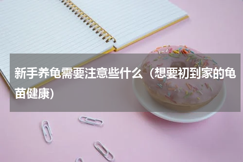 新手养龟需要注意些什么（想要初到家的龟苗健康）