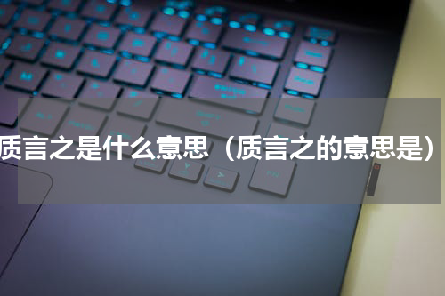 质言之是什么意思（质言之的意思是）