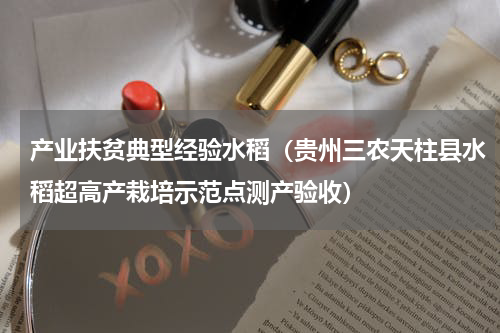 产业扶贫典型经验水稻（贵州三农天柱县水稻超高产栽培示范点测产验收）