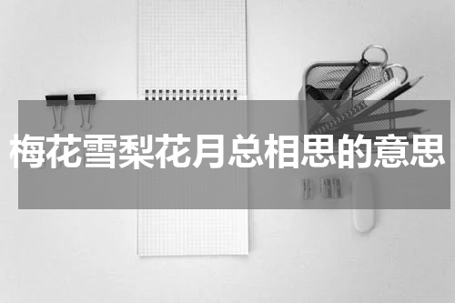 梅花雪梨花月总相思的意思