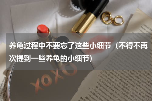 养龟过程中不要忘了这些小细节（不得不再次提到一些养龟的小细节）