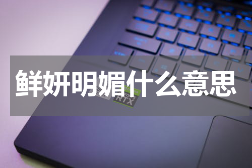 鲜妍明媚什么意思