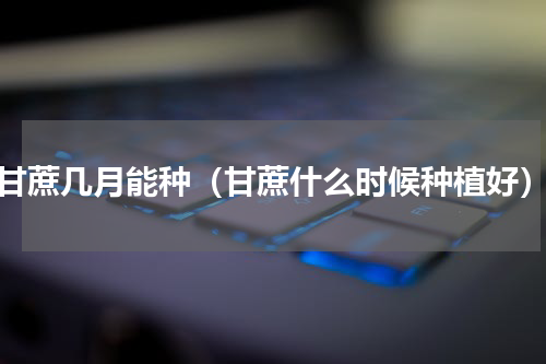 甘蔗几月能种（甘蔗什么时候种植好）