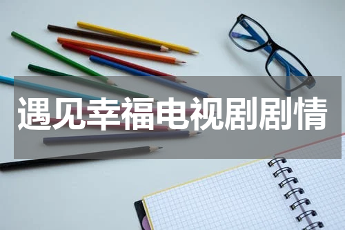 遇见幸福电视剧剧情